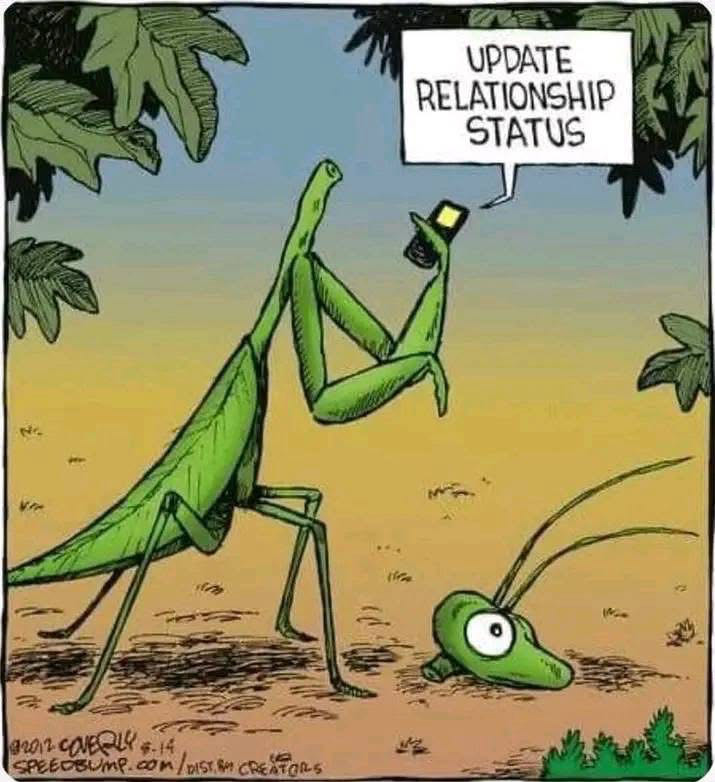 Generation X - Marvel (36 - 03/1998) comic book collectible [Barcode 75960602678403611] - Main Image 4