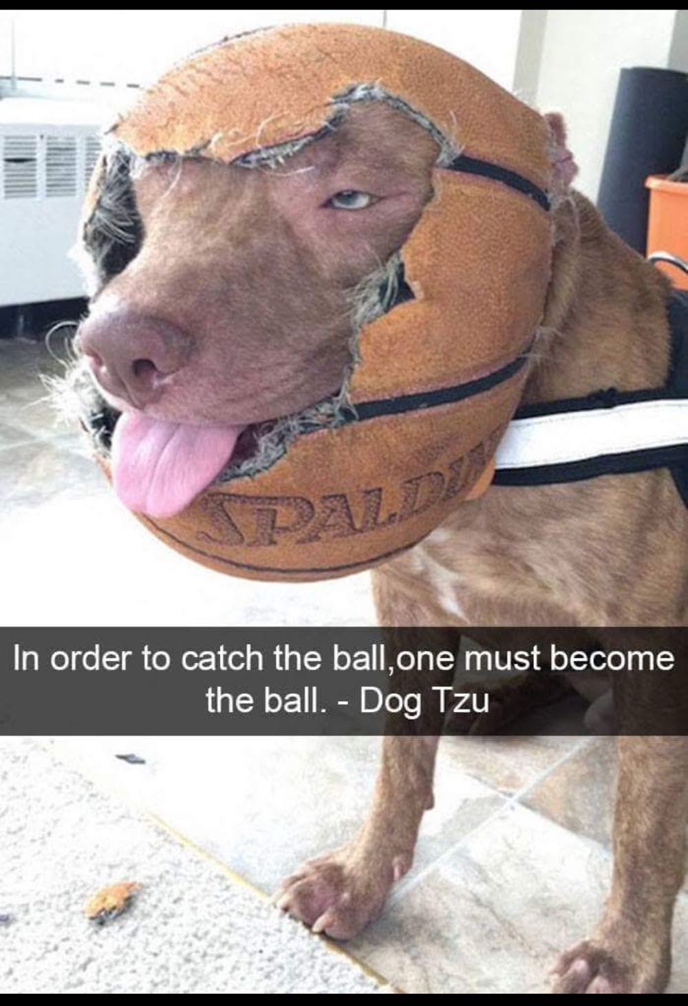 All-Star Squadron - DC (Detective Comics) (21 - May 1983) comic book collectible [Barcode 070989311114] - Main Image 4