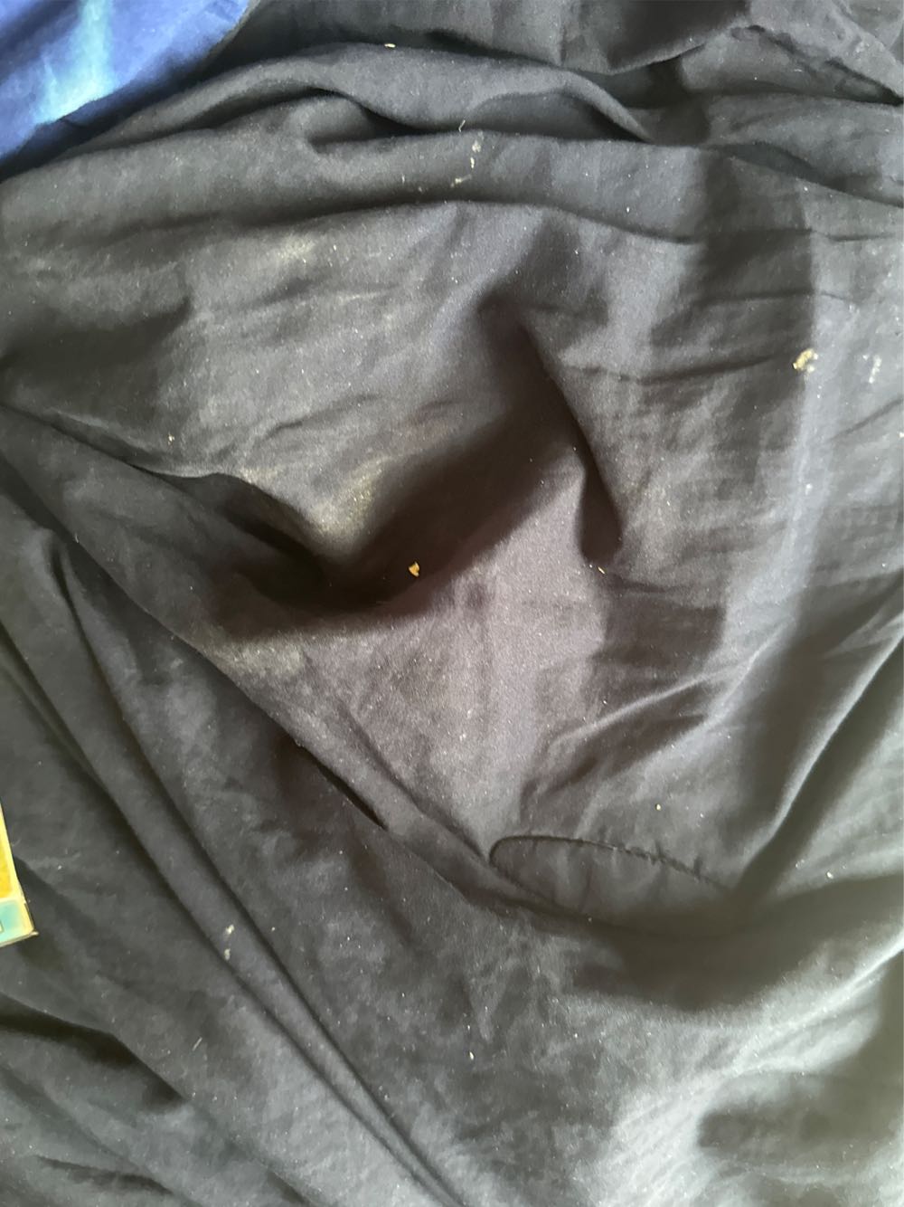 Amazing Spider-Man - Marvel (565 - Sep 2008) comic book collectible [Barcode 75960604716156511] - Main Image 3