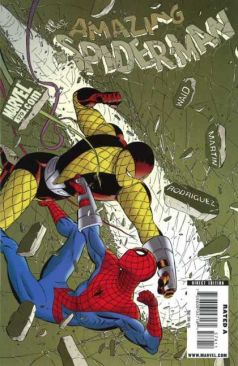 The Amazing Spider-Man - Marvel Publishing Inc. (579 - Feb 2009) comic book collectible [Barcode 75960604716157911] - Main Image 1