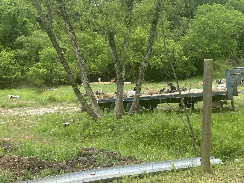 Amazing Spider-Girl, The - Marvel Comics (24 - Nov 2008) comic book collectible [Barcode 759606060115] - Main Image 3