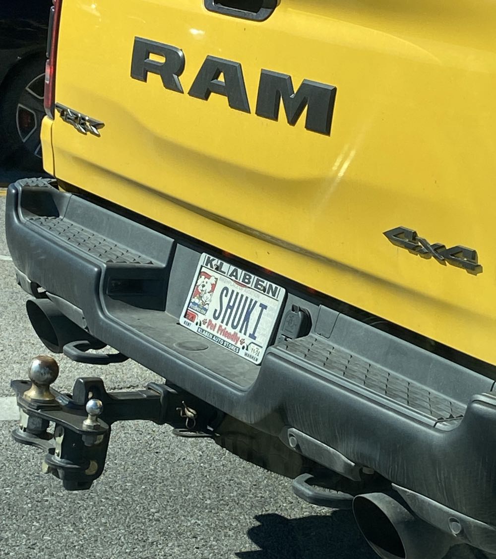 Daredevil - Marvel Comics Group (121 - May 1975) comic book collectible - Main Image 4