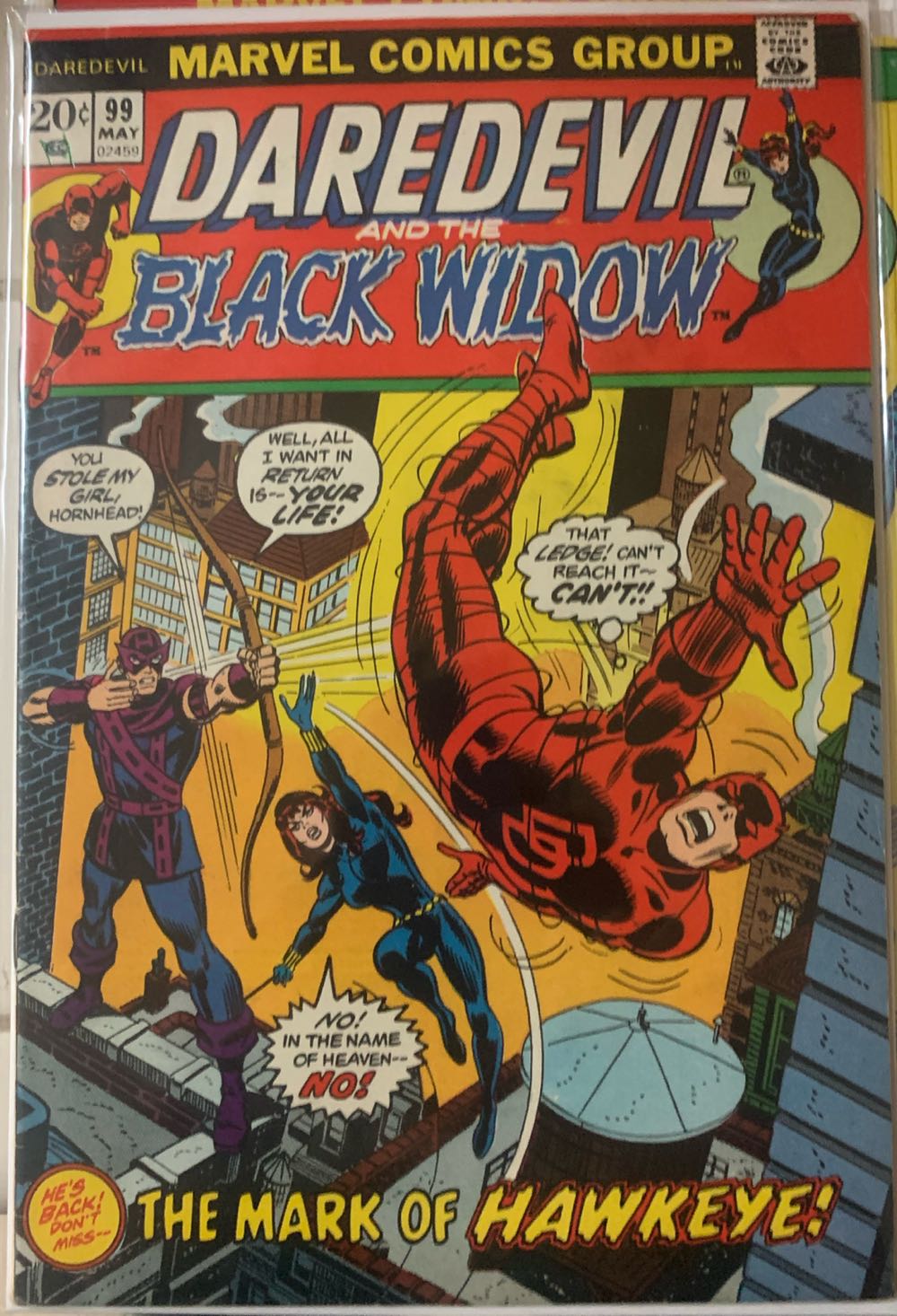 Daredevil - Marvel Comics Group (99 - May 1973) comic book collectible - Main Image 2