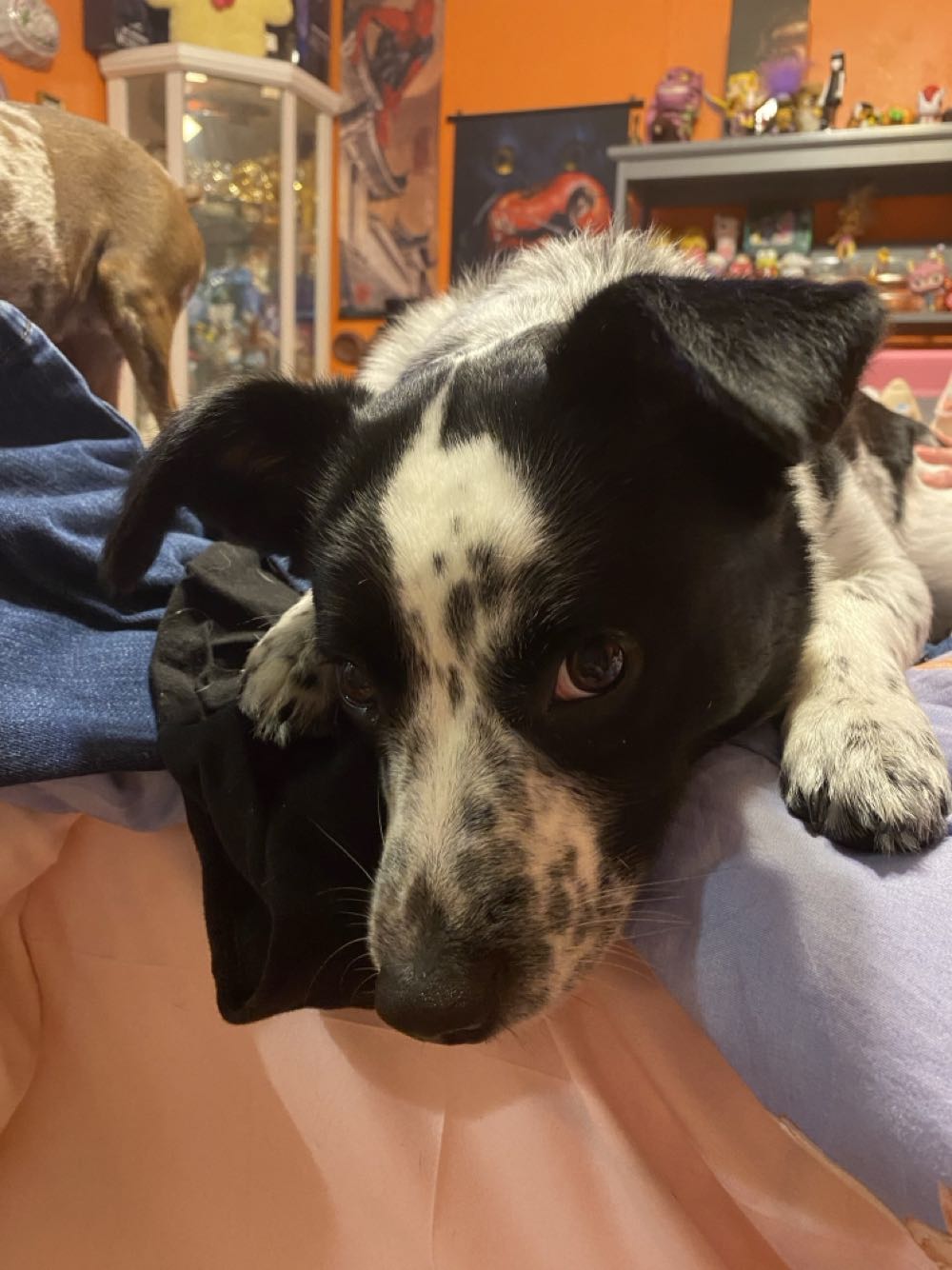 Red Sonja Vol 3 - Marvel Comics (2 - Oct 1983) comic book collectible [Barcode 725130029775] - Main Image 4