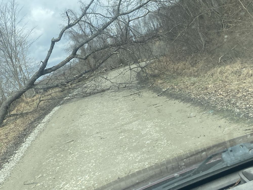 Teen Titans - DC (Detective Comics) (38 - Apr 1972) comic book collectible - Main Image 4