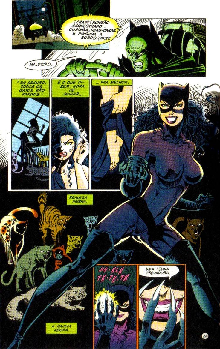Catwoman - DC Comics Inc. (22 - 07/1995) comic book collectible [Barcode 761941200125] - Main Image 2