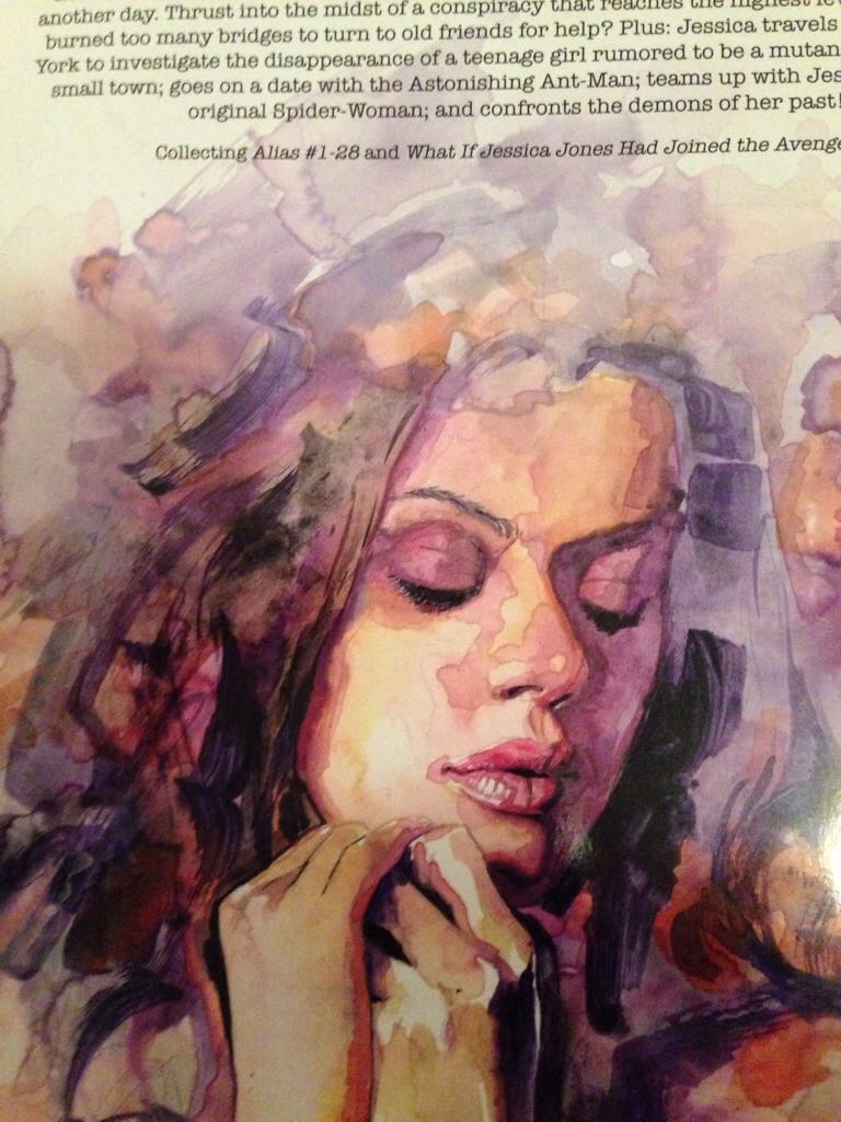 Alias Omnibus First Edition 1st Printing 2006 Bendis Gaydos HC DJ - Marvel (1) comic book collectible [Barcode 9780785121213] - Main Image 2