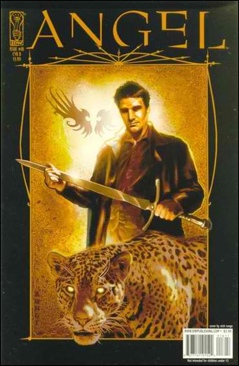 Angel: After The Fall