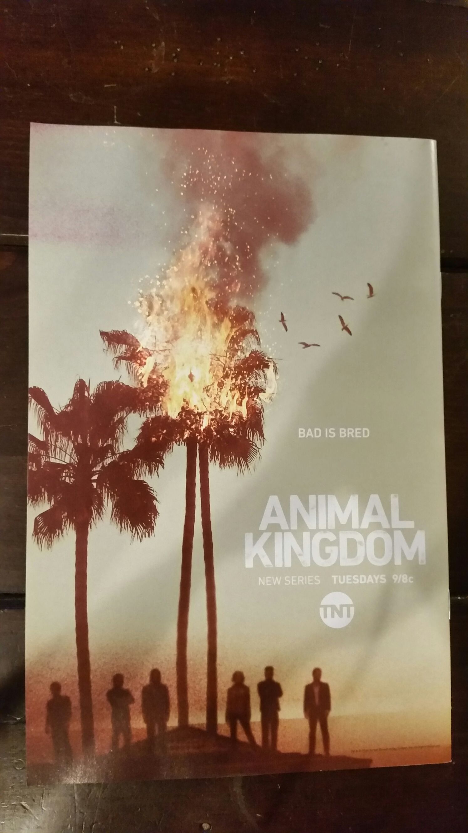 Harley Quinn - DC (Detective Comics) (29 - Aug 2016) comic book collectible [Barcode 76194131887502911] - Main Image 2