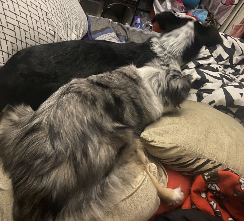 Jonah Hex - DC (Detective Comics) (24 - May 1979) comic book collectible [Barcode 070989305571] - Main Image 3