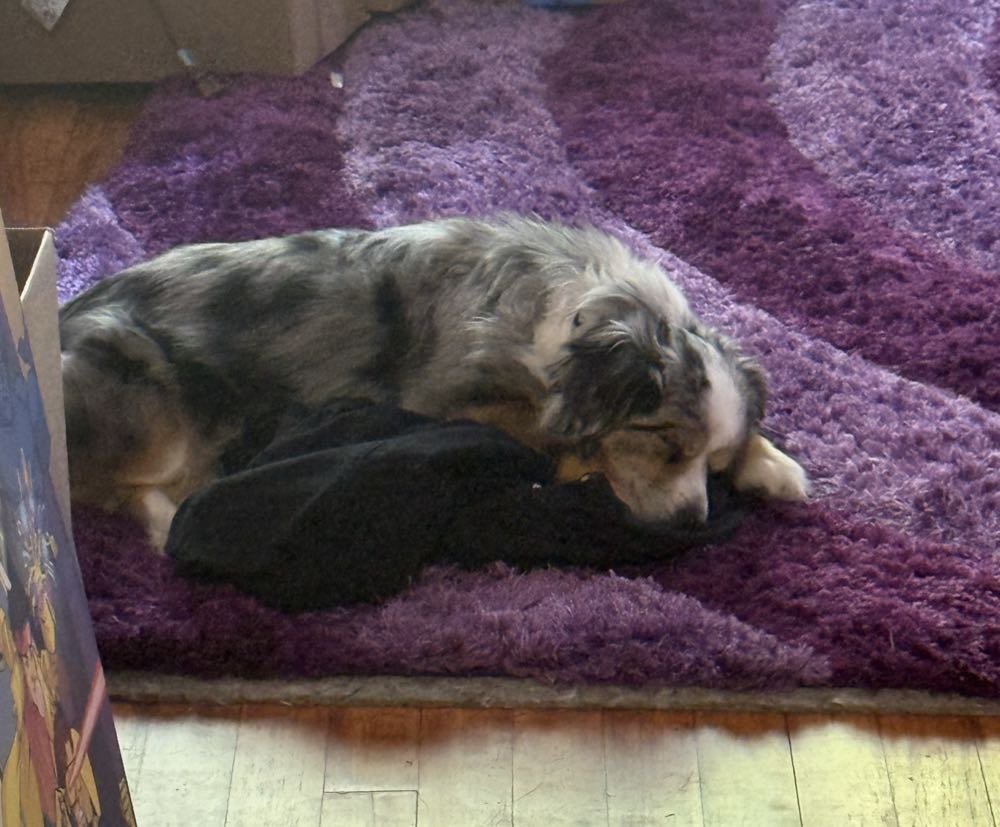 Jonah Hex - DC (Detective Comics) (24 - May 1979) comic book collectible [Barcode 070989305571] - Main Image 4