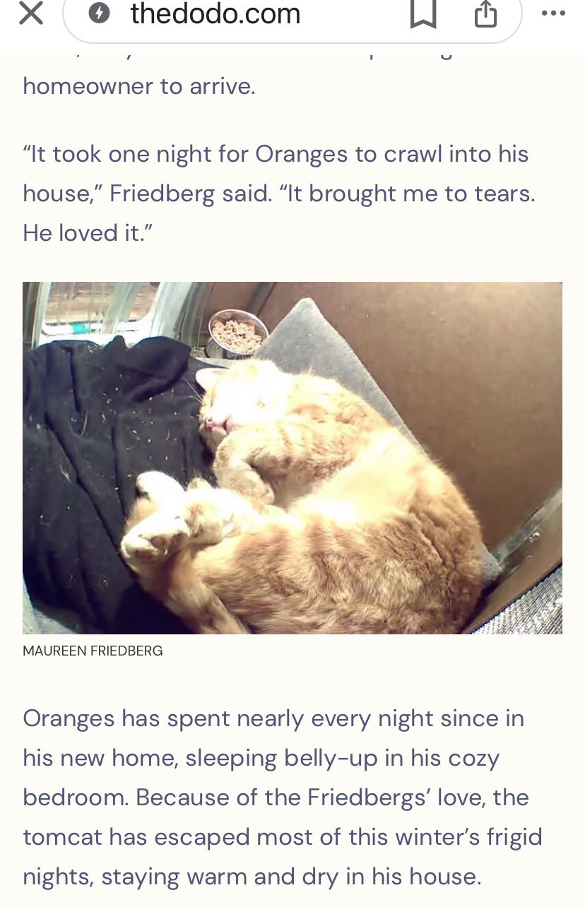 Archie’s Girls Betty and Veronica - Archie Comics (156) comic book collectible - Main Image 4