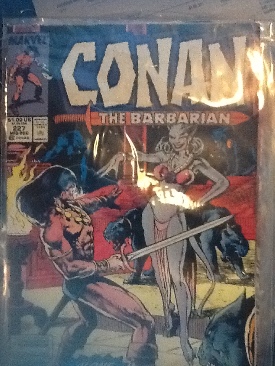 Conan The Barbarian - Marvel (227 - Dec 1989) comic book collectible [Barcode 071486024989] - Main Image 1
