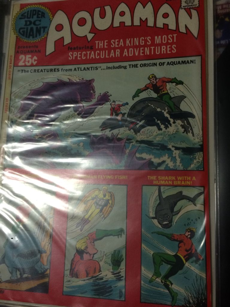 Madame Mirage TOP.V1.006