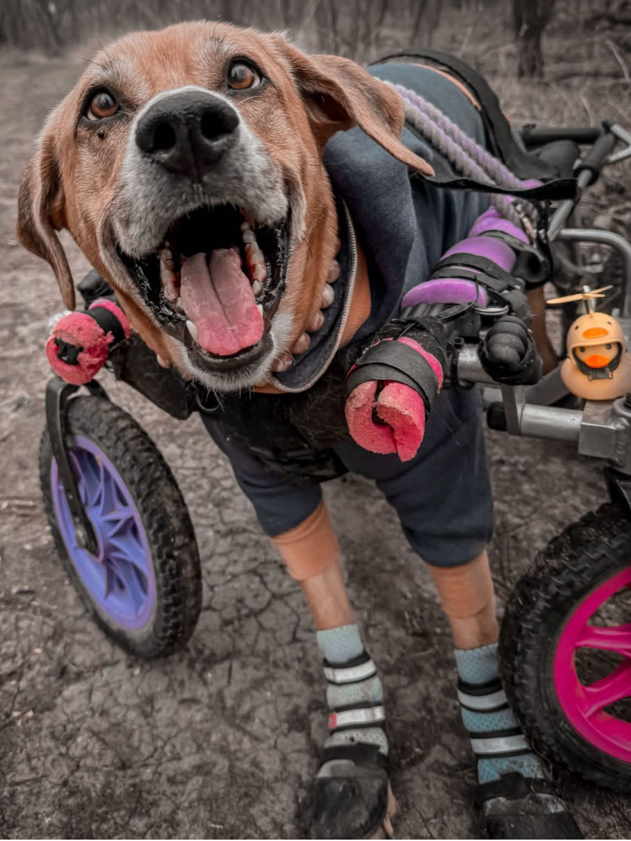 Dc Comics Presents - DC (Detective Comics) (68 - Apr 1984) comic book collectible [Barcode 07098931216] - Main Image 4