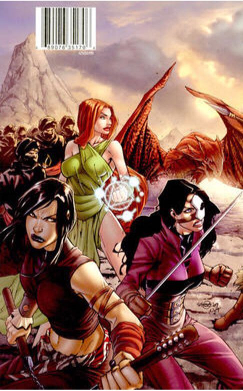 1001 Arabian…Adv Of Sinbad (001) - Zenescope (0,13 - May 2008) comic book collectible [Barcode 689076351706] - Main Image 2