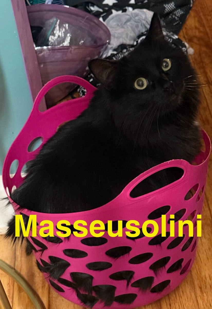 Power Man And Iron Fist - Marvel Comics (103 - Mar 1984) comic book collectible - Main Image 3