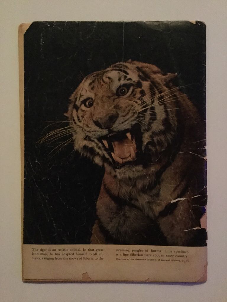 Tarzan - Dell (32 - 05/1952) comic book collectible - Main Image 2