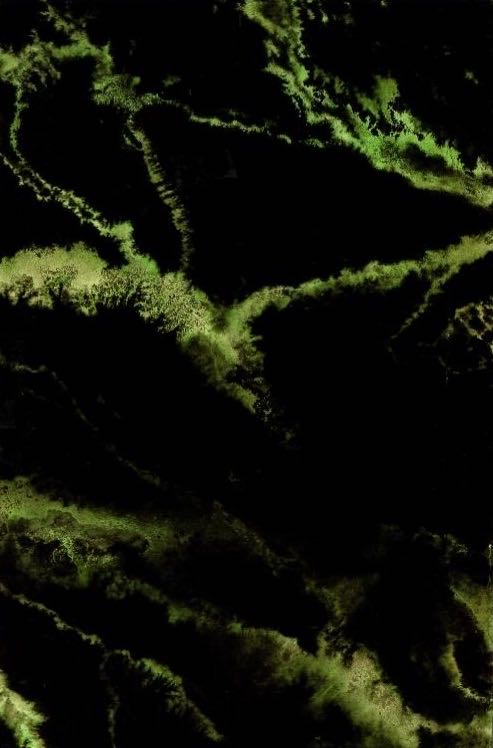 Cerebus - Aardvark-Vanaheim (102 - 09/1987) comic book collectible - Main Image 2