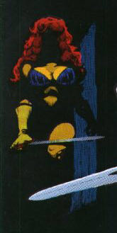 Cerebus - Aardvark-Vanaheim (114 - Sep 1988) comic book collectible - Main Image 4