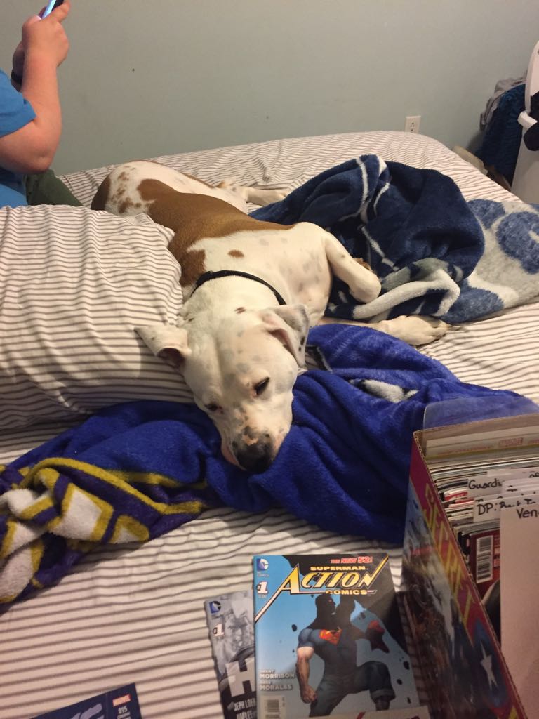 Silver Surfer (2003)