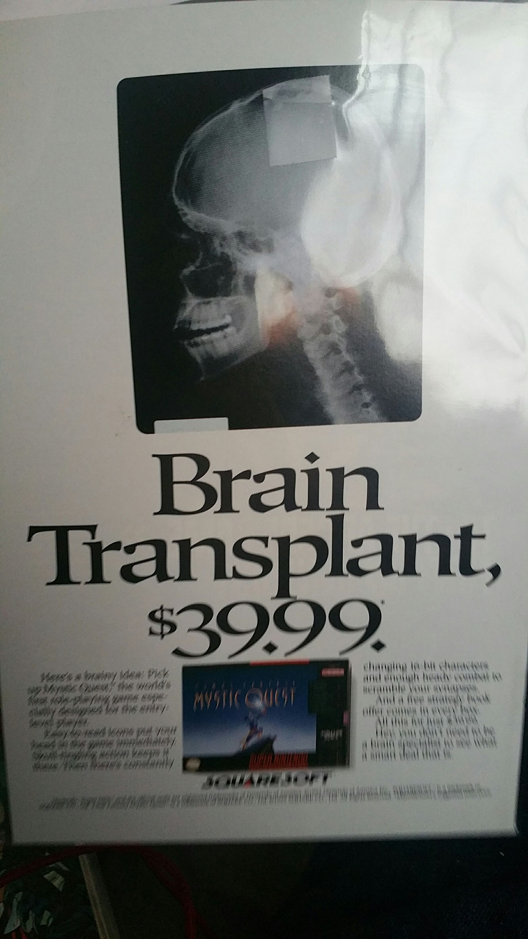 Venom Lethal Protector - Marvel (2 - 03/1993) comic book collectible [Barcode 071486012023] - Main Image 2