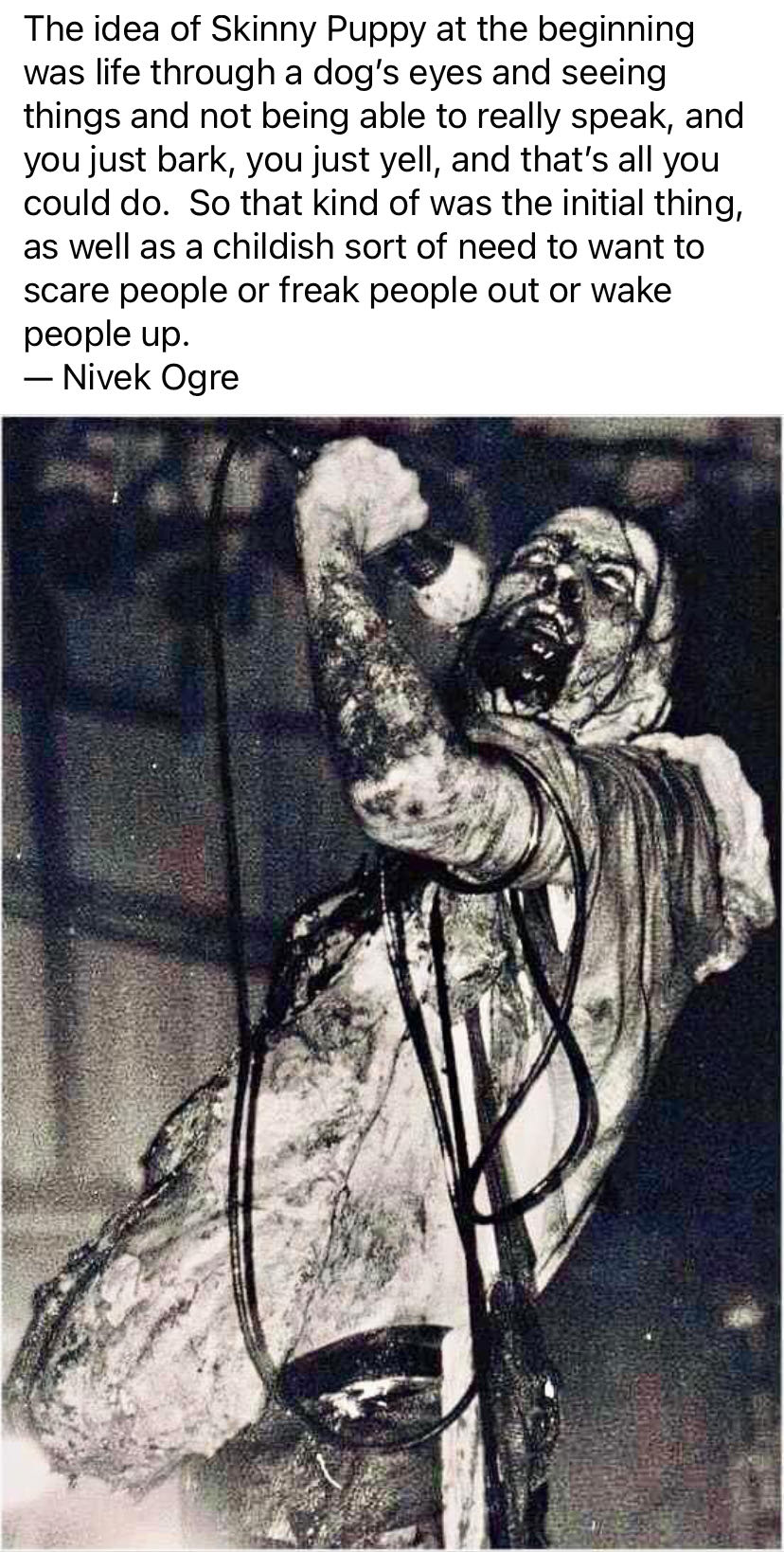 Codename: Knockout - DC/ Vertigo (14) comic book collectible [Barcode 761941225364] - Main Image 4