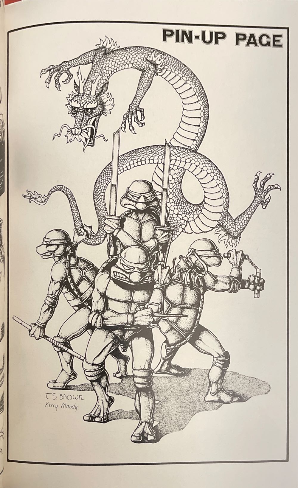 Teenage Mutant Ninja Turtles  #11 - Mirage (11 - Jun 1987) comic book collectible [Barcode 827714003444] - Main Image 3