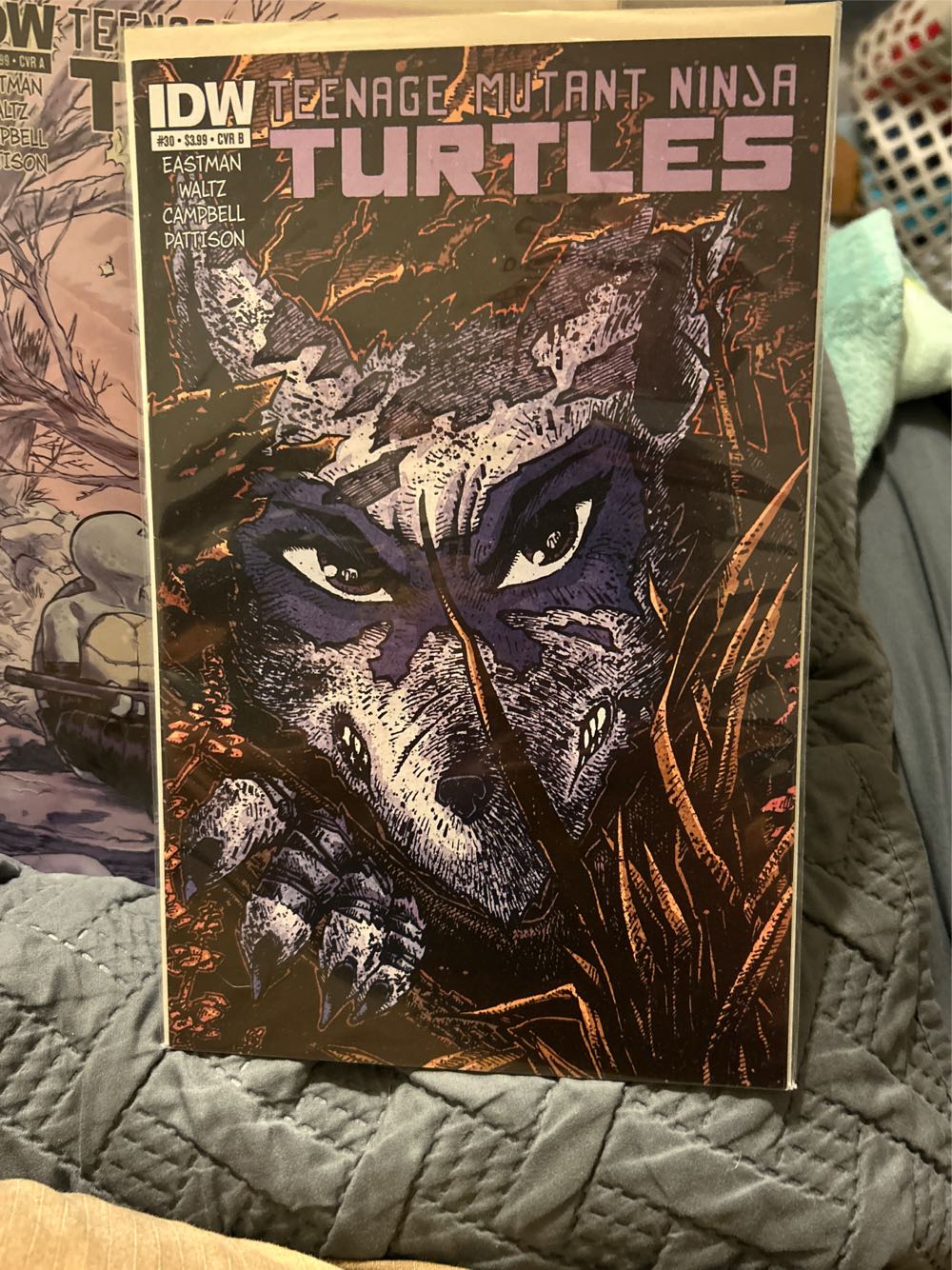 Teenage Mutant Ninja Turtles - IDW (30 - 01/2014) comic book collectible [Barcode 82771400271303011] - Main Image 3
