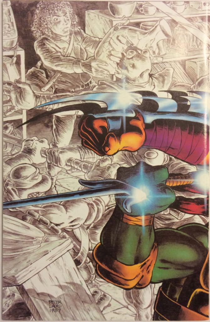 Eastman and Lairds: Teenage Mutant Ninja Turtles - Mirage Studios (10 - Apr 1987) comic book collectible - Main Image 2