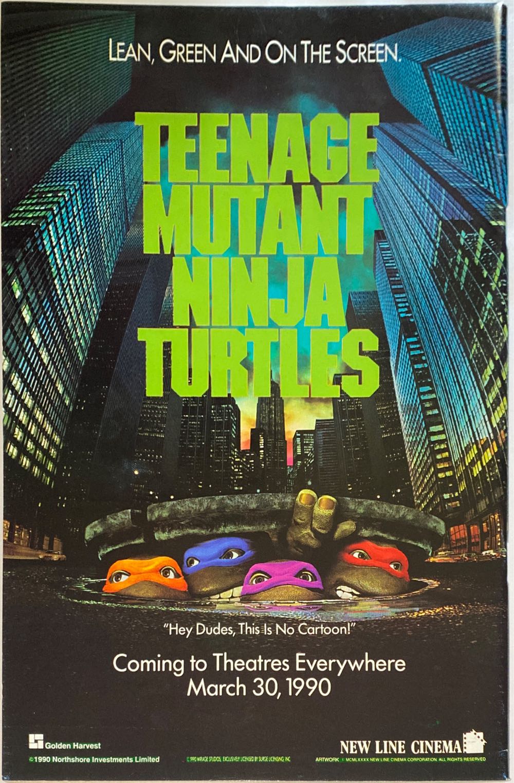 Teenage Mutant Ninja Turtles - Mirage Studios (28 - Feb 1990) comic book collectible - Main Image 2
