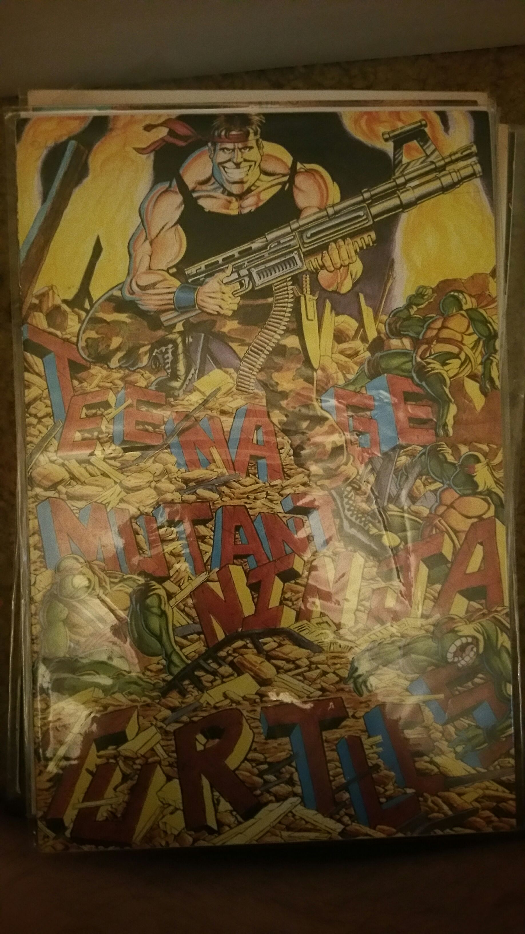 Teenage Mutant Ninja Turtles