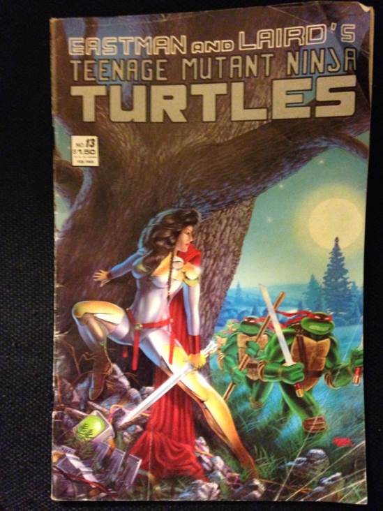 TMNT MIR.V1.013 - Mirage Studios (13 - 02/1988) comic book collectible - Main Image 1