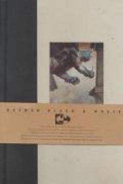 Punisher: War Zone, The