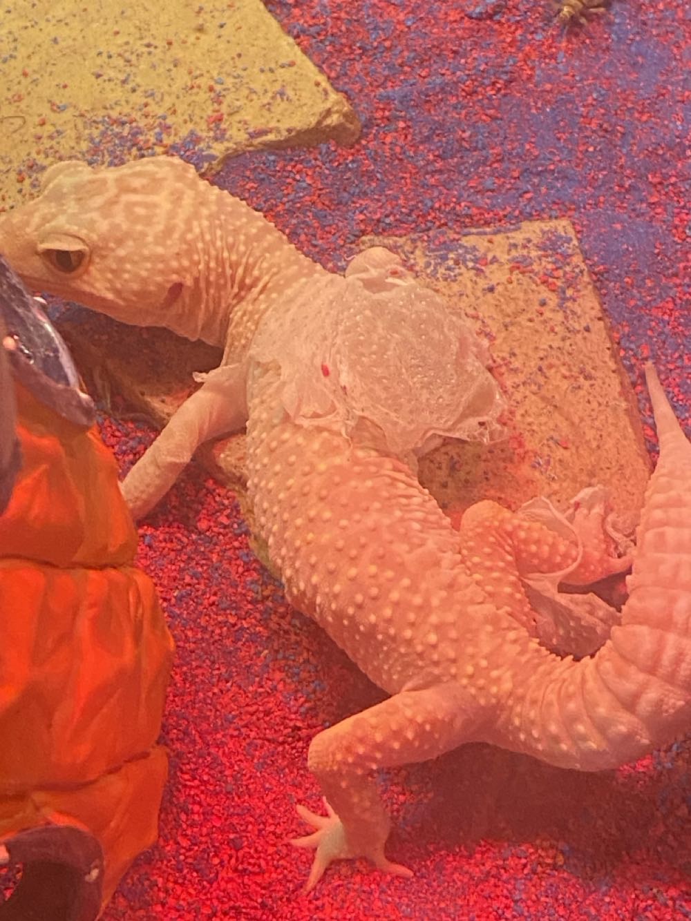 Batwoman - DC Comics (0 - Jan 2011) comic book collectible [Barcode 76194126480600011] - Main Image 4