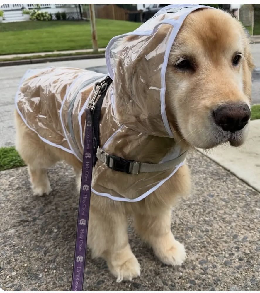 GIJOE A Real American Hero - Marvel Comics (83 - Feb 1989) comic book collectible [Barcode 8521478652] - Main Image 4