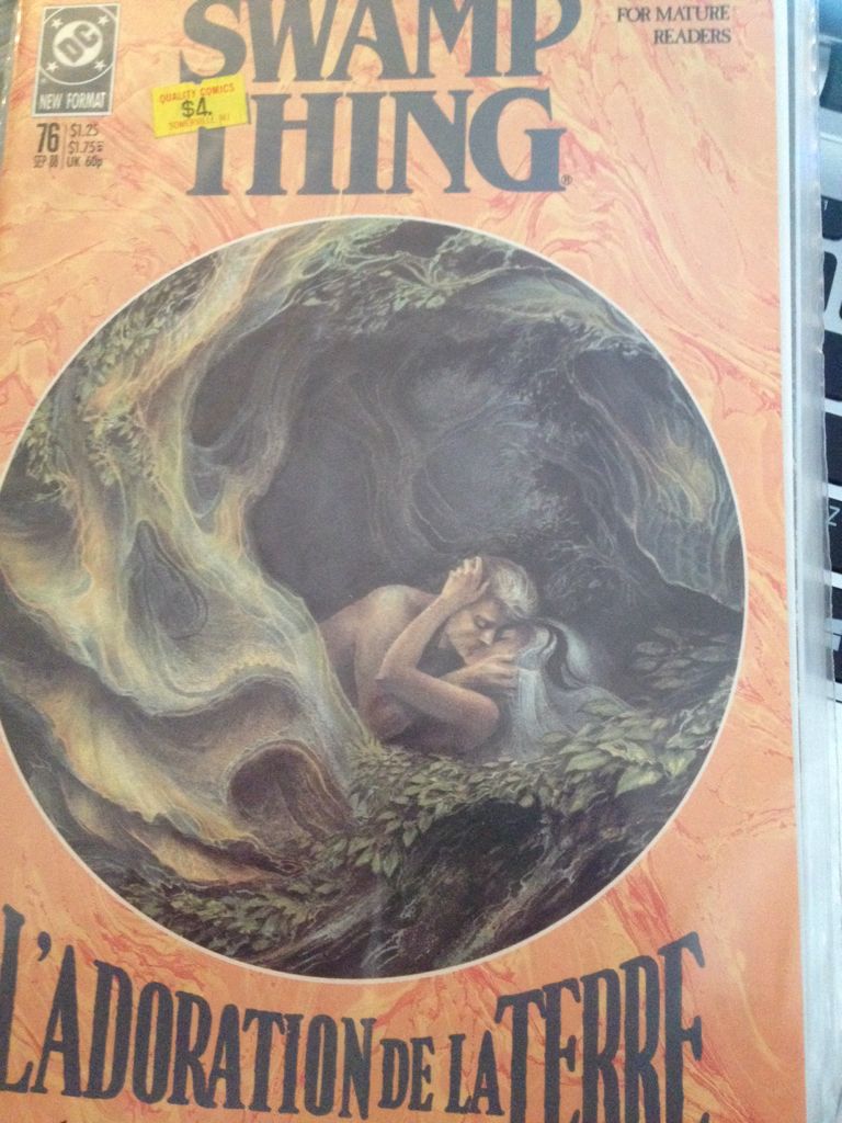 Black Panther The Man Without Fear