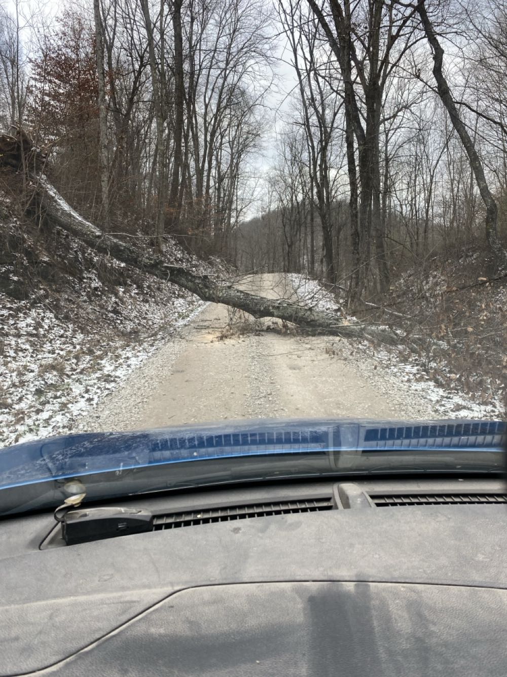 Swamp Thing - DC (Detective Comics) (135 - Sep 1993) comic book collectible - Main Image 3