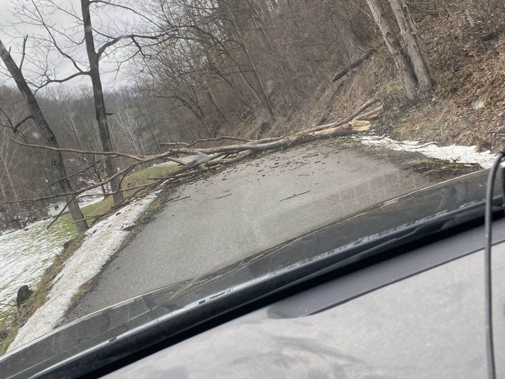 Swamp Thing - DC (Detective Comics) (94 - Apr 1990) comic book collectible - Main Image 3