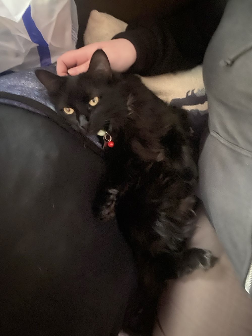 Sgt. Fury and His Howling Commandos - Marvel Comics Group (10 - Sep 1964) comic book collectible [Barcode 759606068395] - Main Image 4