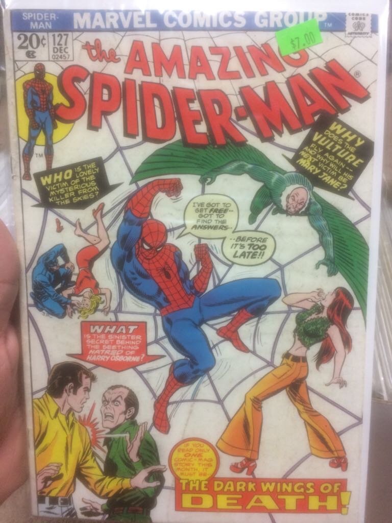 Peter Parker: The Spectacular Spider-Man