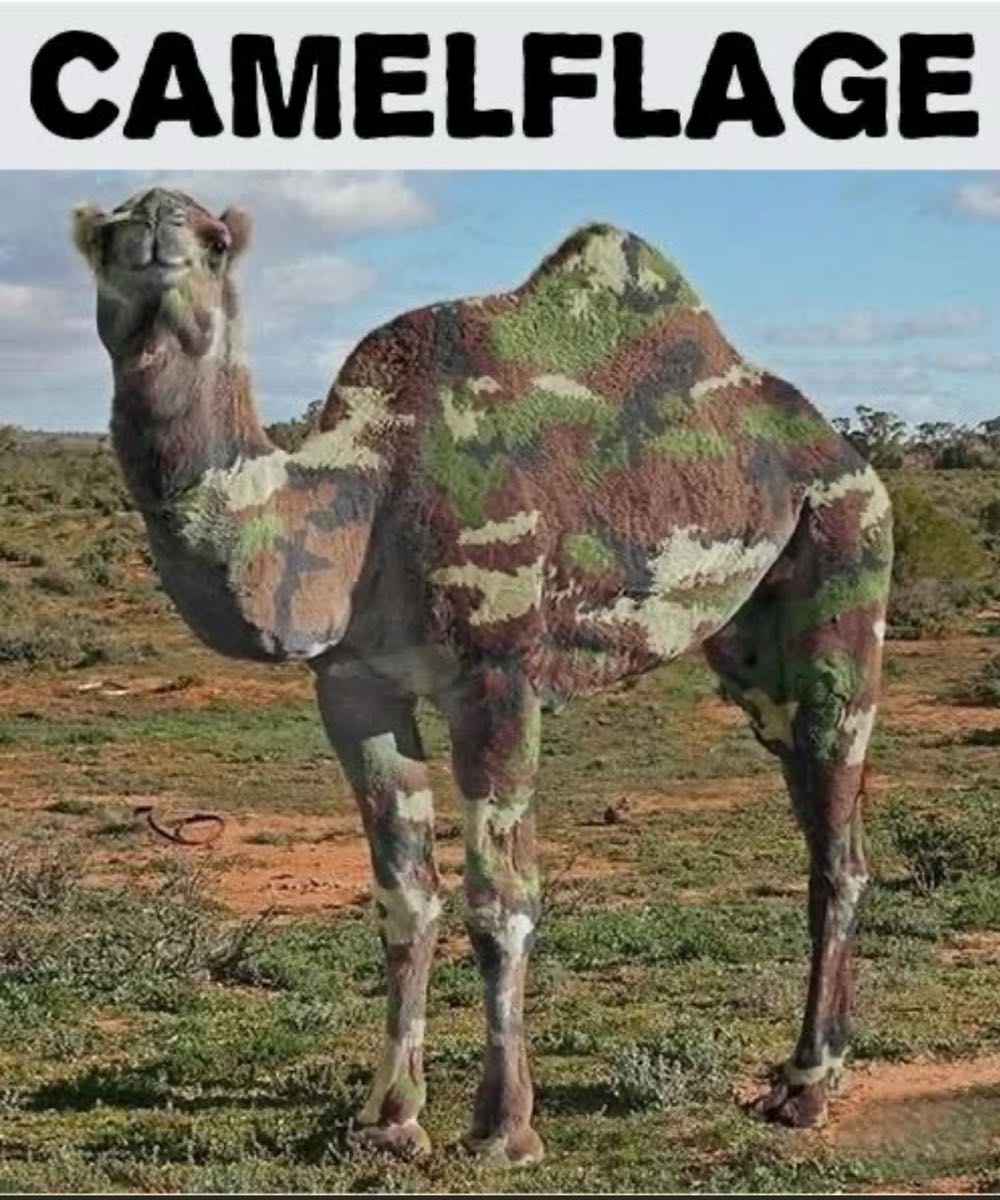 Peter Parker, The Spectacular Spider-man - Marvel Comics (112 - Mar 1986) comic book collectible [Barcode 071486021995] - Main Image 4