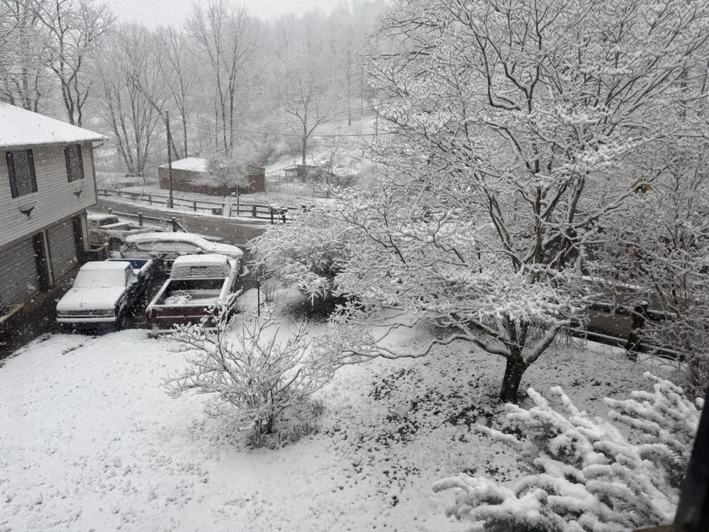 Peter Parker, The Spectacular Spider-man - Marvel Comics (119 - Oct 1986) comic book collectible [Barcode 071486021995] - Main Image 3