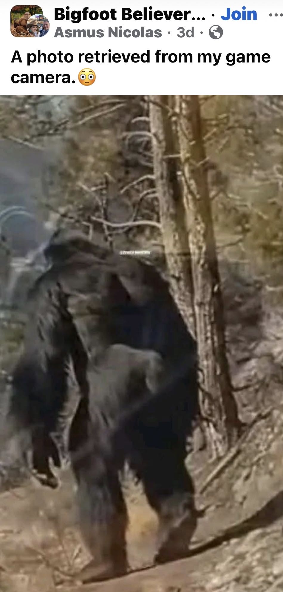 Peter Parker, The Spectacular Spider-man - Marvel Comics (98 - Jan 1985) comic book collectible [Barcode 7148602199] - Main Image 4