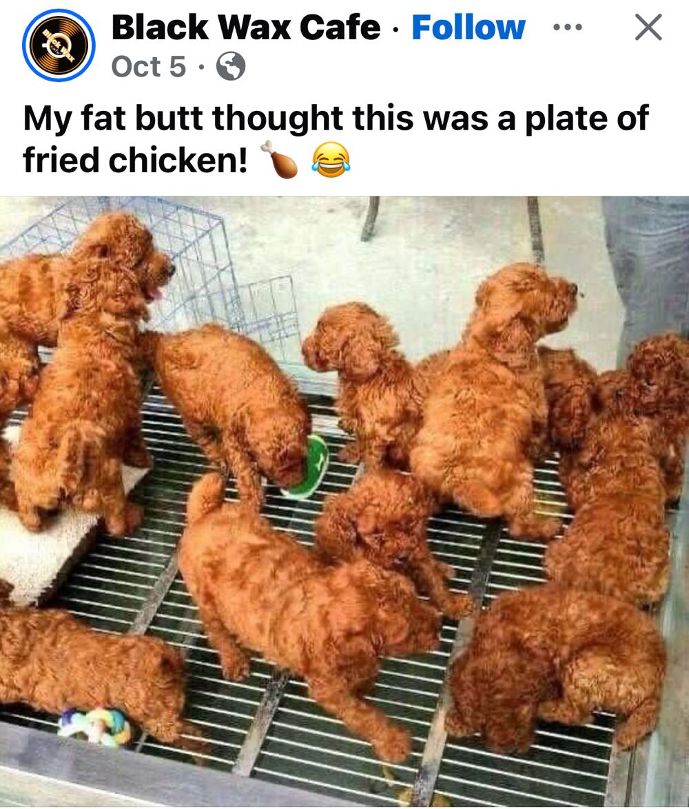 Hands Of Shang-Chi, Master Of Kung Fu, The - Marvel Comics Group (104 - Sep 1981) comic book collectible [Barcode 071486024491] - Main Image 4