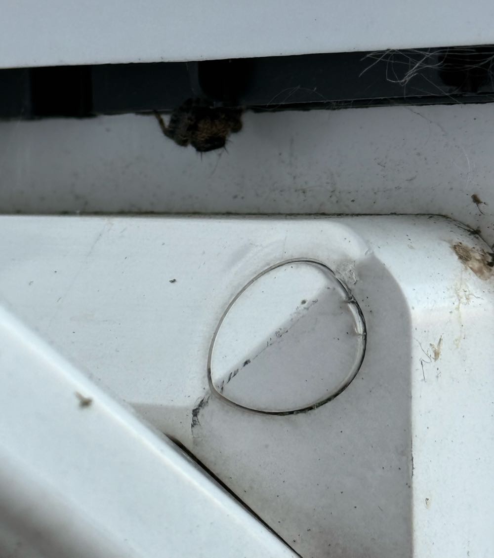 Lady Death: The Crucible - Chaos (1 - 11/1996) comic book collectible [Barcode 121212121212] - Main Image 4