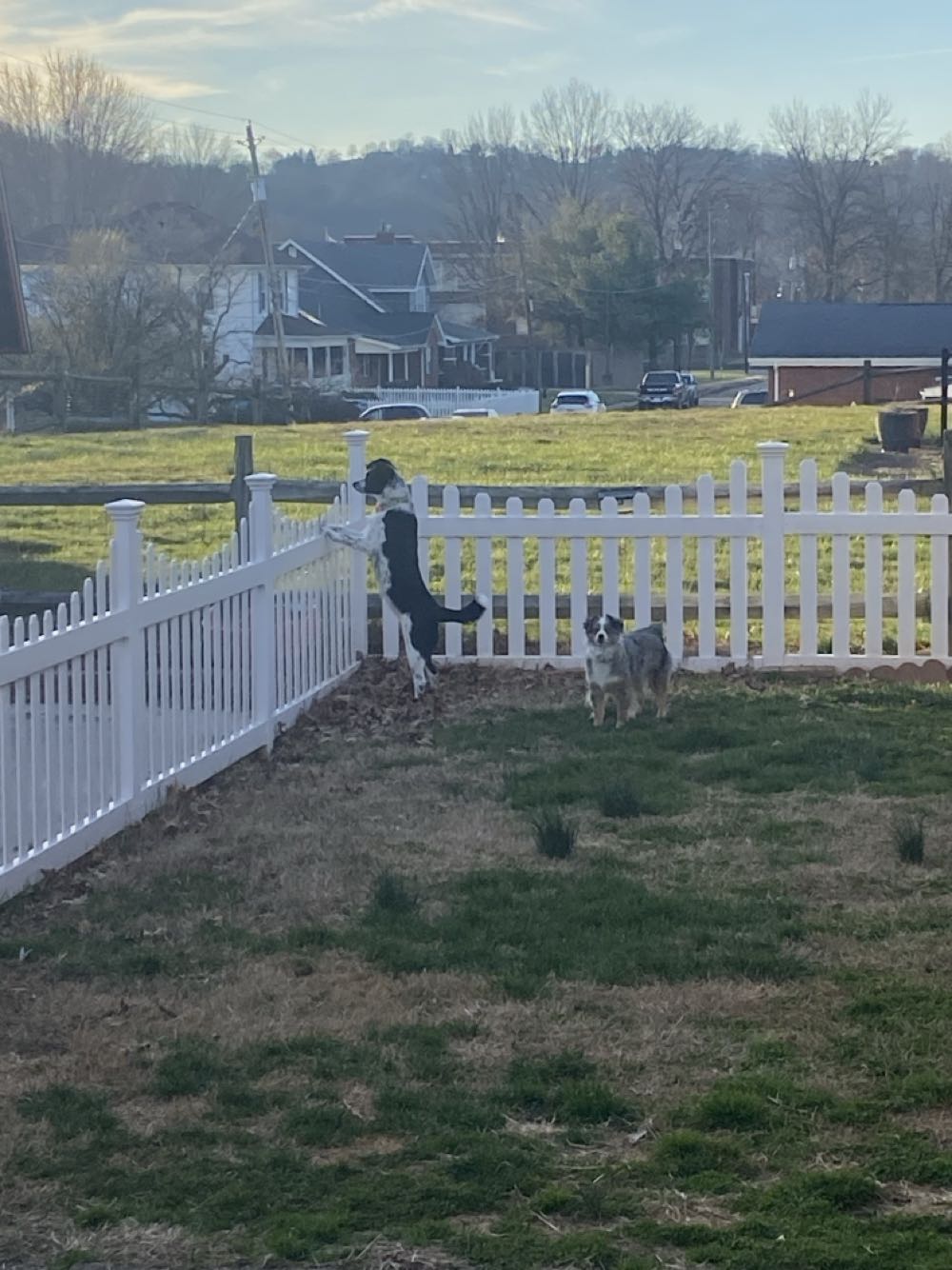 Fantastic Four: Unlimited - Marvel Comics (8 - Dec 1994) comic book collectible [Barcode 759606013166] - Main Image 3