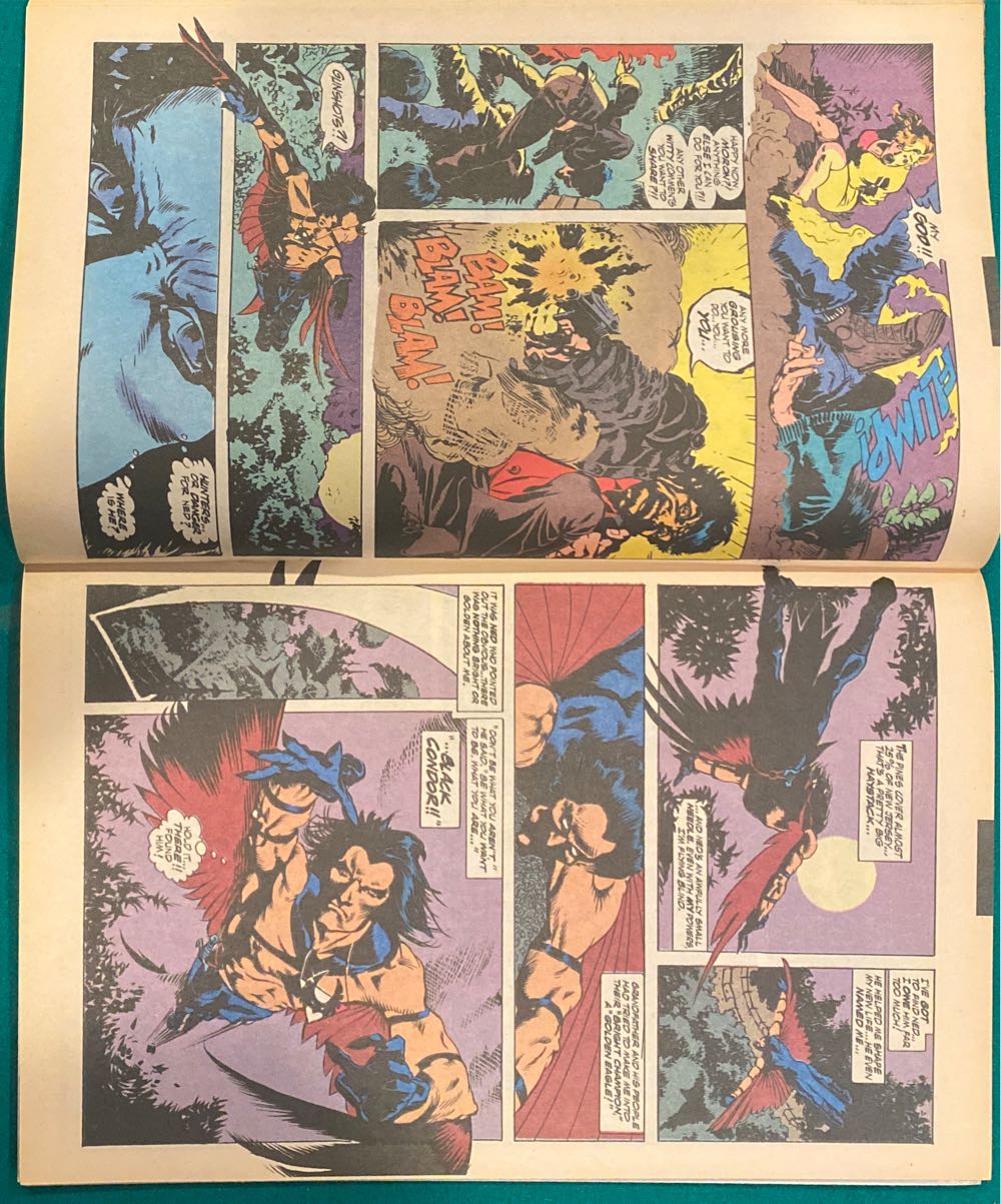 Black Condor - DC Comics (1 - 06/1992) comic book collectible - Main Image 3