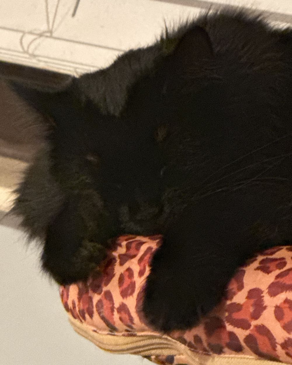 Mister Miracle 89 - DC (Detective Comics) (4 - May 1989) comic book collectible [Barcode 761941206615] - Main Image 3