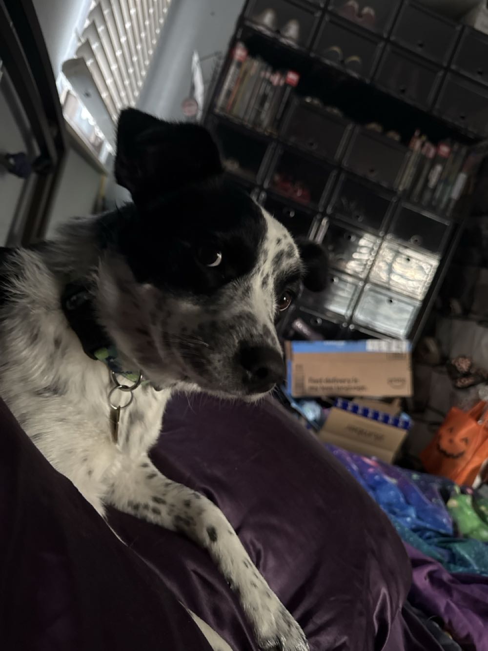 The Incredible Hulk - Marvel Comics (629 - Jul 2011) comic book collectible [Barcode 75960606637762911] - Main Image 3